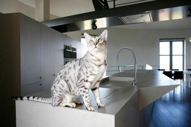 samaze_010-407 samaze_010-407